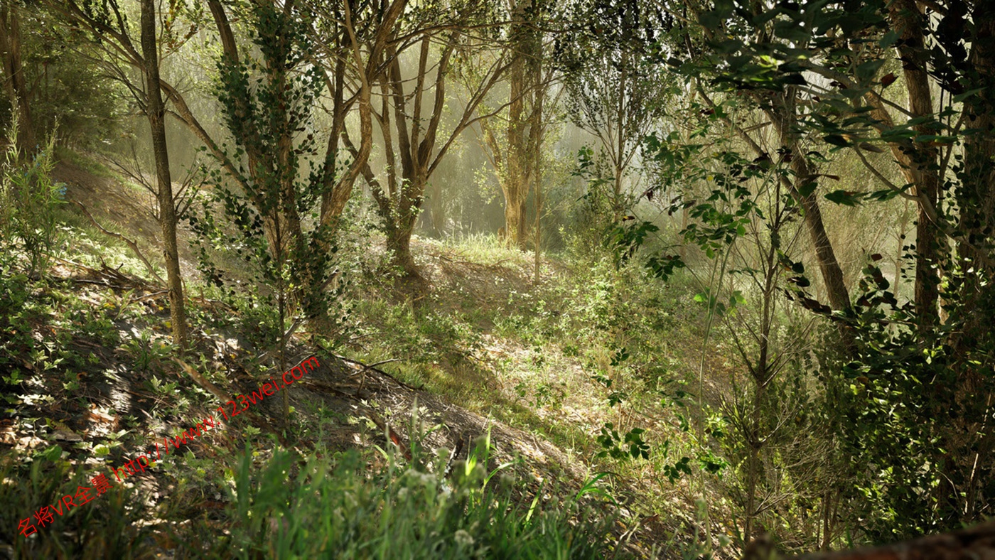 图片[19]-UE5（虚幻引擎5）资源：PCG Biome Forest Poplar PCG 生物群落：森林杨树（互动树叶、树木、风力系统、自然）【推荐】-VR全景