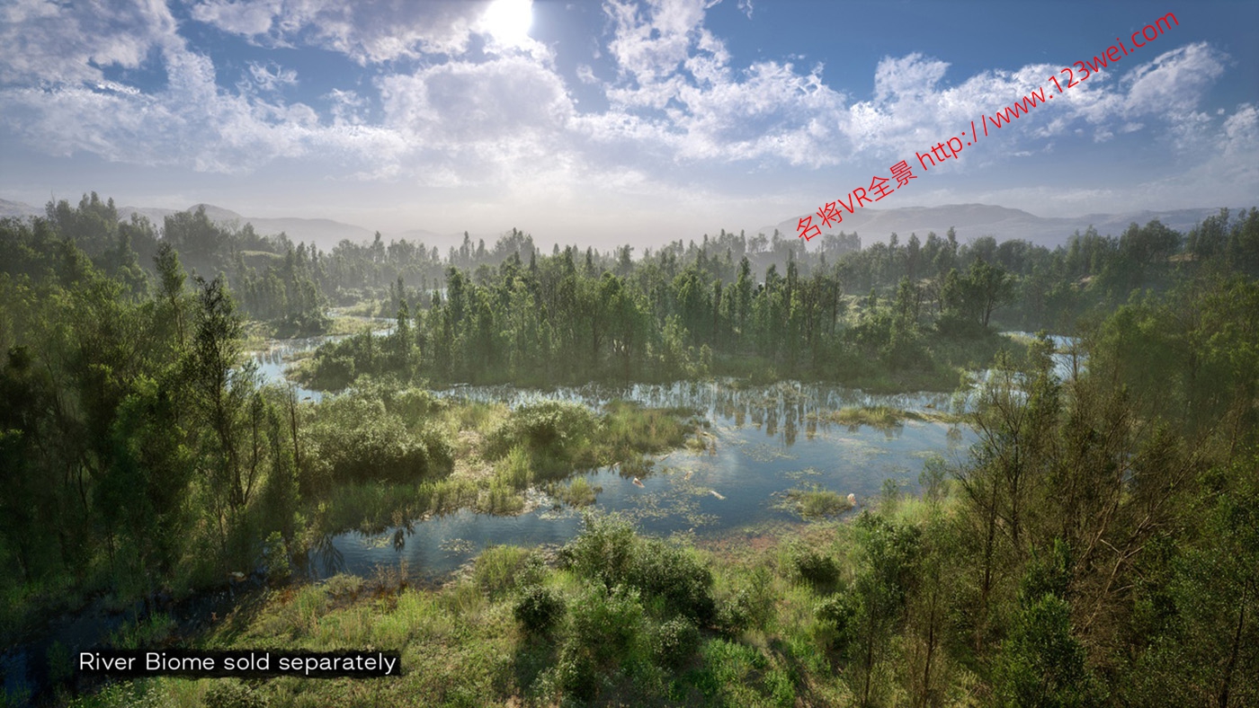 图片[18]-UE5（虚幻引擎5）资源：PCG Biome Forest Poplar PCG 生物群落：森林杨树（互动树叶、树木、风力系统、自然）【推荐】-VR全景