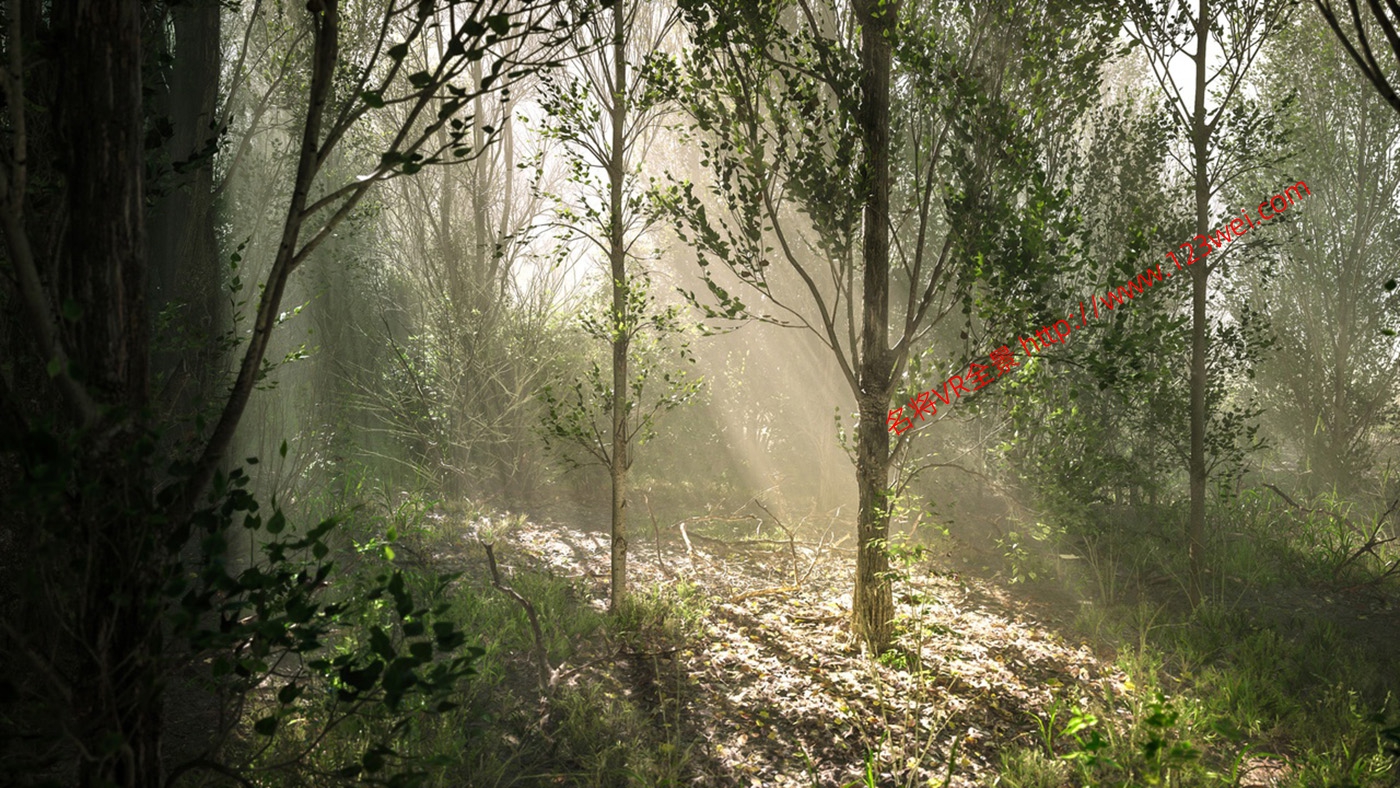 图片[17]-UE5（虚幻引擎5）资源：PCG Biome Forest Poplar PCG 生物群落：森林杨树（互动树叶、树木、风力系统、自然）【推荐】-VR全景