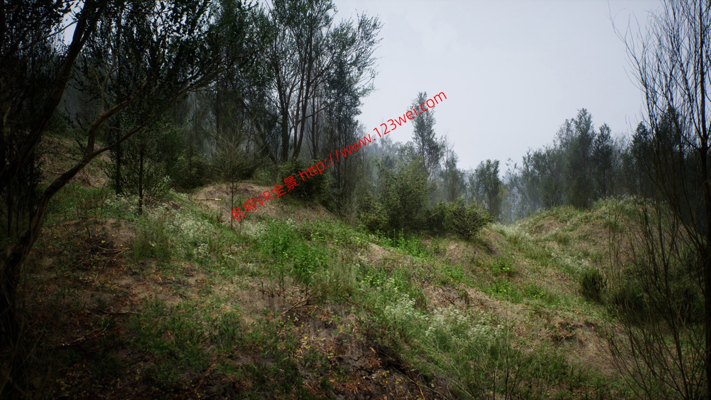 图片[16]-UE5（虚幻引擎5）资源：PCG Biome Forest Poplar PCG 生物群落：森林杨树（互动树叶、树木、风力系统、自然）【推荐】-VR全景