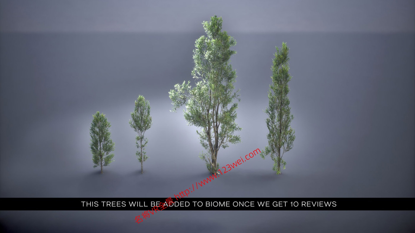图片[15]-UE5（虚幻引擎5）资源：PCG Biome Forest Poplar PCG 生物群落：森林杨树（互动树叶、树木、风力系统、自然）【推荐】-VR全景