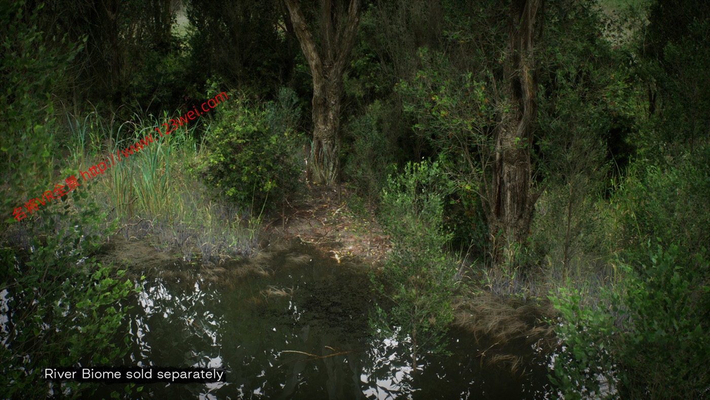 图片[14]-UE5（虚幻引擎5）资源：PCG Biome Forest Poplar PCG 生物群落：森林杨树（互动树叶、树木、风力系统、自然）【推荐】-VR全景