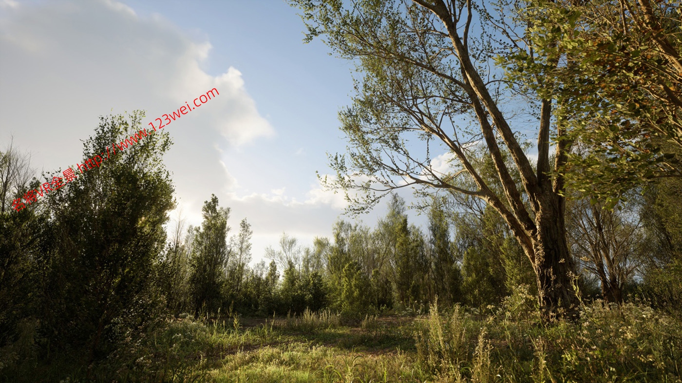 图片[13]-UE5（虚幻引擎5）资源：PCG Biome Forest Poplar PCG 生物群落：森林杨树（互动树叶、树木、风力系统、自然）【推荐】-VR全景