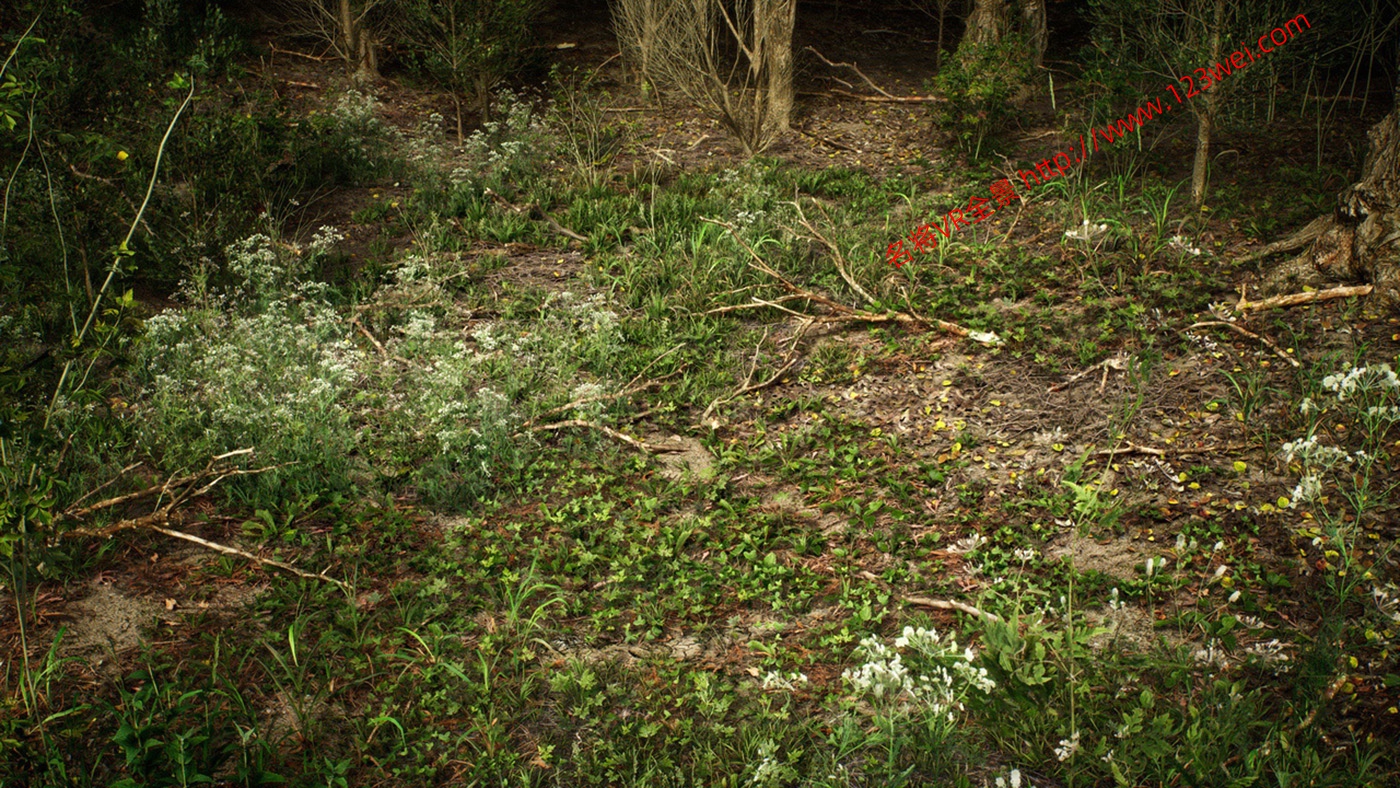 图片[12]-UE5（虚幻引擎5）资源：PCG Biome Forest Poplar PCG 生物群落：森林杨树（互动树叶、树木、风力系统、自然）【推荐】-VR全景