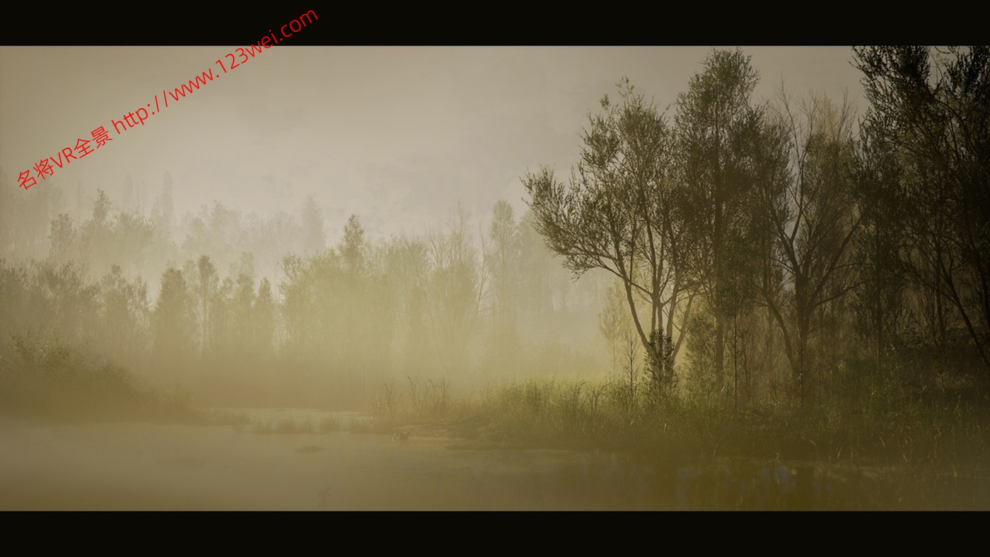 图片[11]-UE5（虚幻引擎5）资源：PCG Biome Forest Poplar PCG 生物群落：森林杨树（互动树叶、树木、风力系统、自然）【推荐】-VR全景