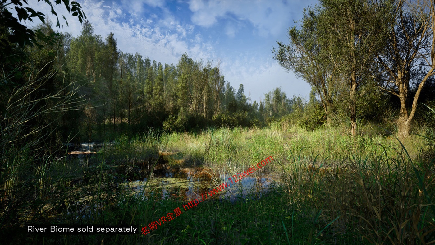 图片[9]-UE5（虚幻引擎5）资源：PCG Biome Forest Poplar PCG 生物群落：森林杨树（互动树叶、树木、风力系统、自然）【推荐】-VR全景