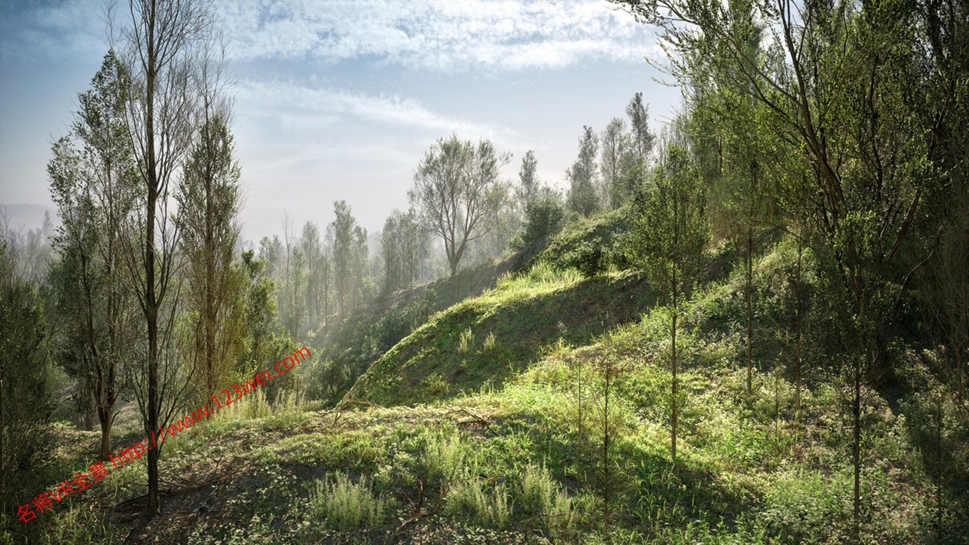 图片[8]-UE5（虚幻引擎5）资源：PCG Biome Forest Poplar PCG 生物群落：森林杨树（互动树叶、树木、风力系统、自然）【推荐】-VR全景