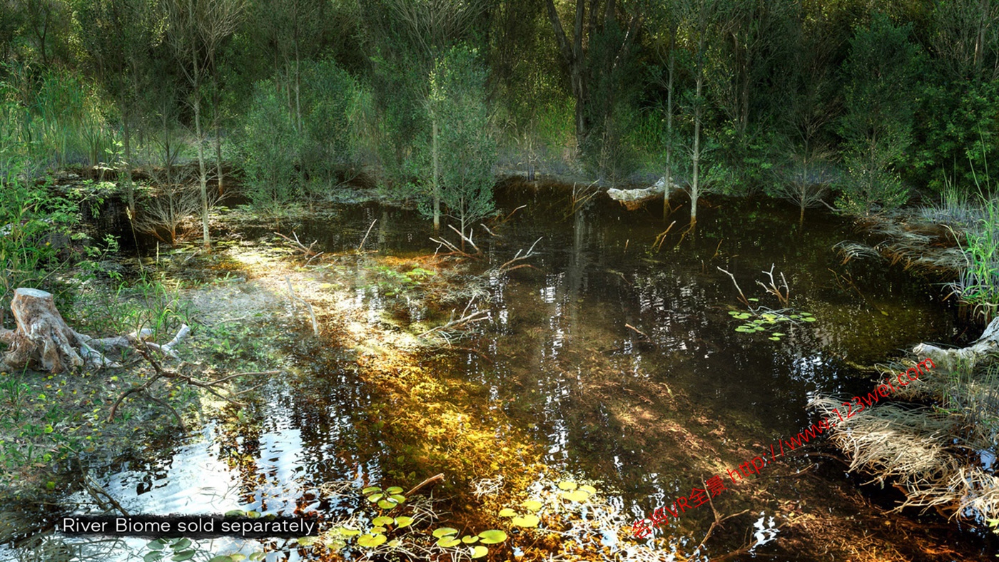 图片[7]-UE5（虚幻引擎5）资源：PCG Biome Forest Poplar PCG 生物群落：森林杨树（互动树叶、树木、风力系统、自然）【推荐】-VR全景