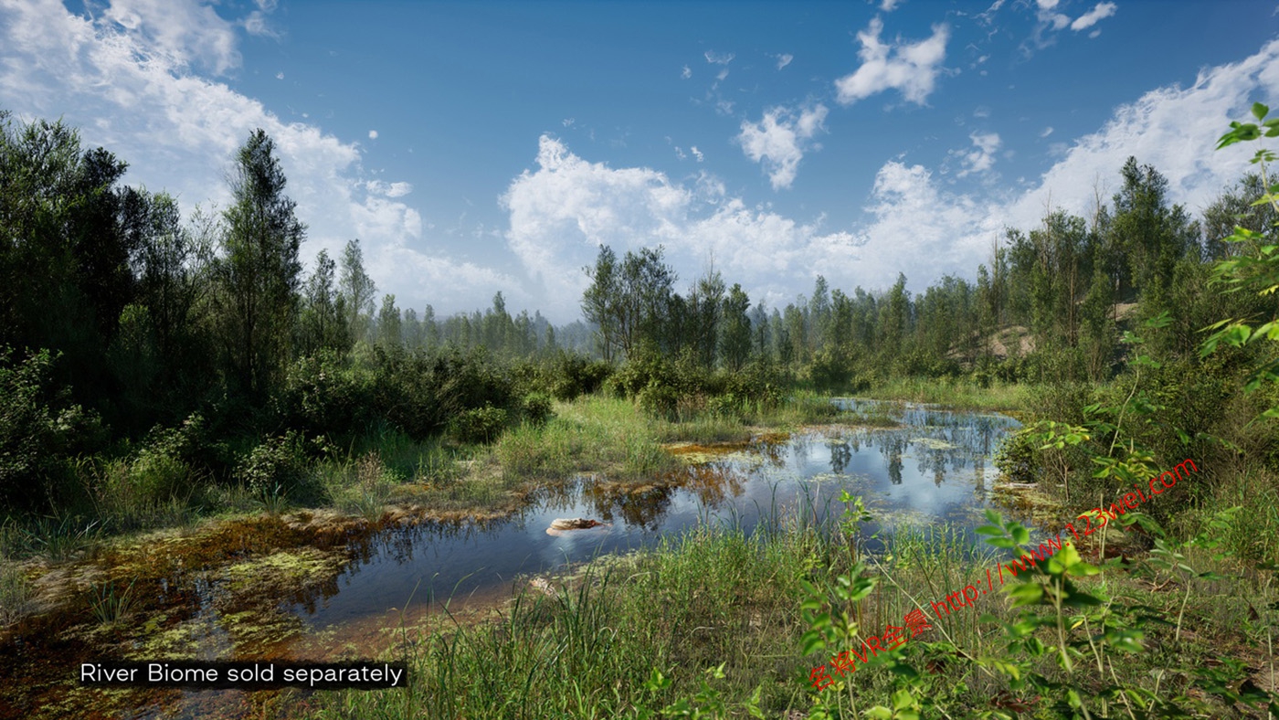 图片[6]-UE5（虚幻引擎5）资源：PCG Biome Forest Poplar PCG 生物群落：森林杨树（互动树叶、树木、风力系统、自然）【推荐】-VR全景