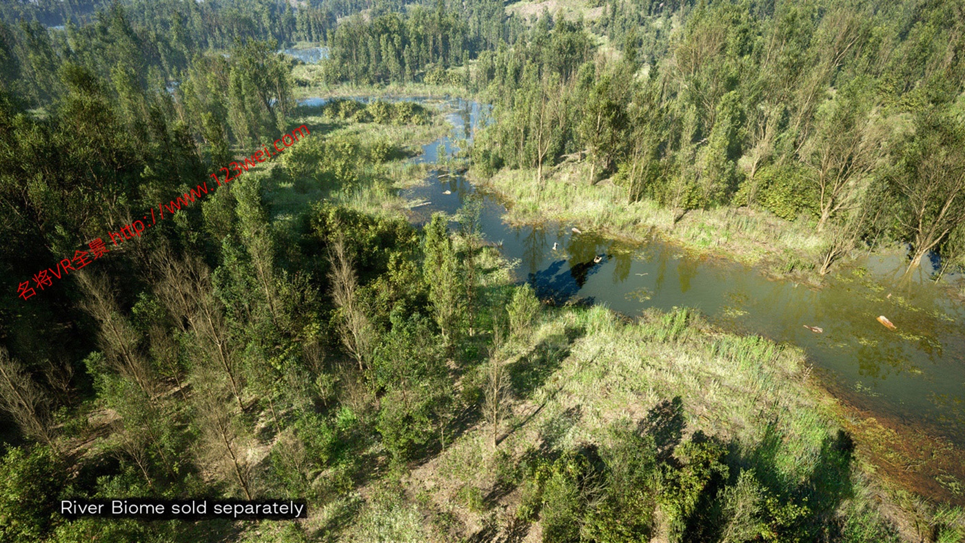 图片[5]-UE5（虚幻引擎5）资源：PCG Biome Forest Poplar PCG 生物群落：森林杨树（互动树叶、树木、风力系统、自然）【推荐】-VR全景