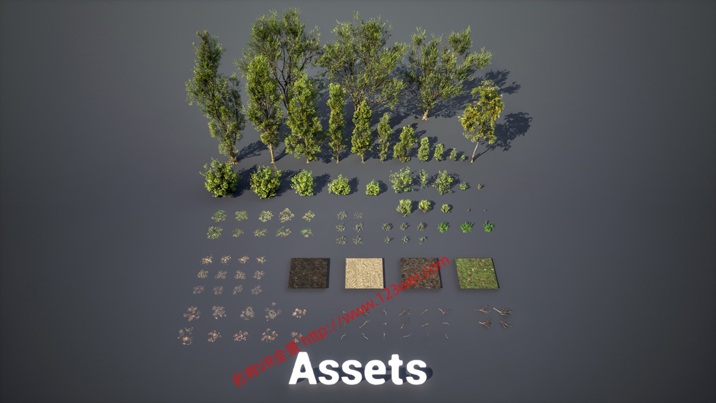 图片[4]-UE5（虚幻引擎5）资源：PCG Biome Forest Poplar PCG 生物群落：森林杨树（互动树叶、树木、风力系统、自然）【推荐】-VR全景
