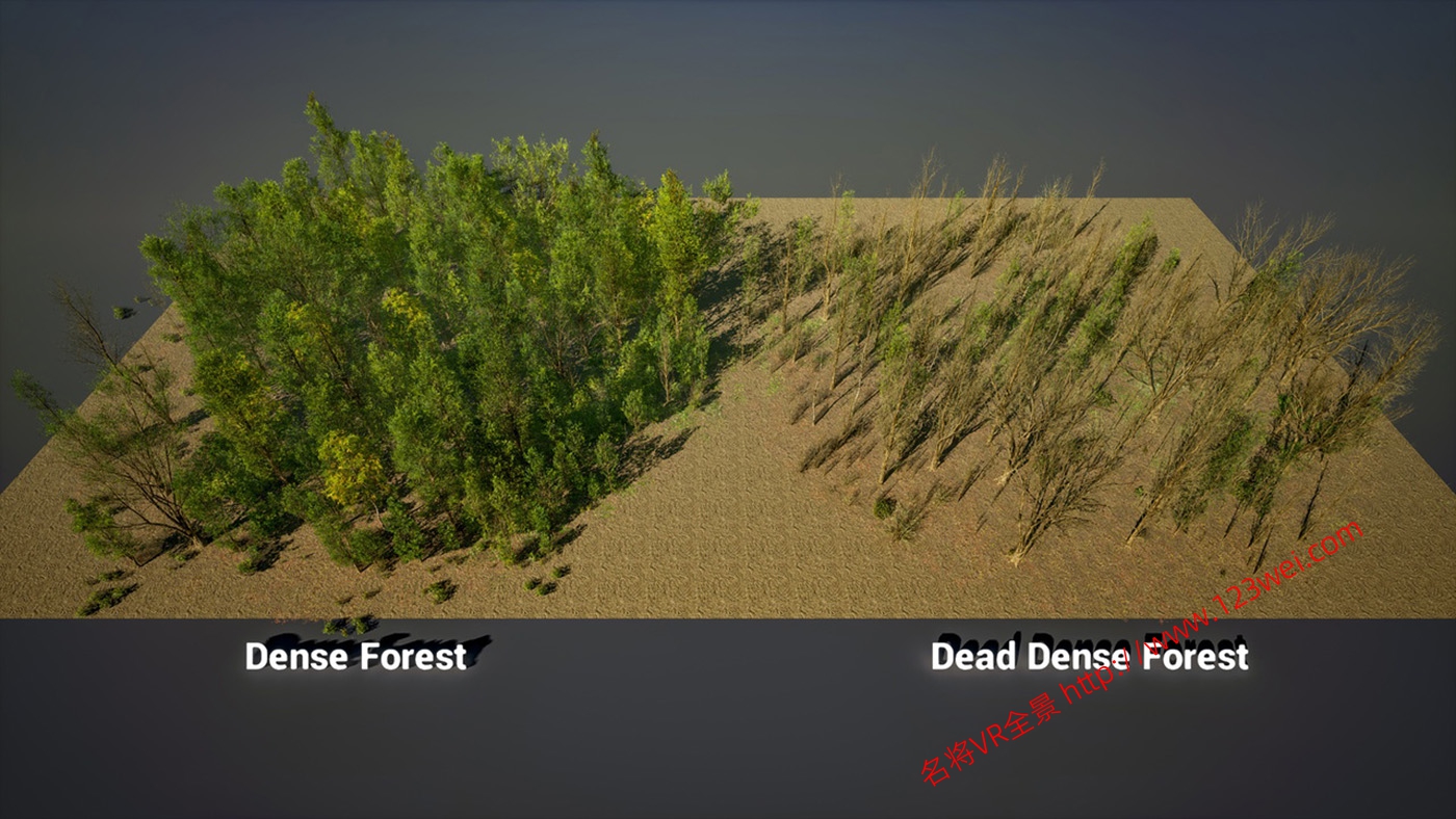 图片[3]-UE5（虚幻引擎5）资源：PCG Biome Forest Poplar PCG 生物群落：森林杨树（互动树叶、树木、风力系统、自然）【推荐】-VR全景