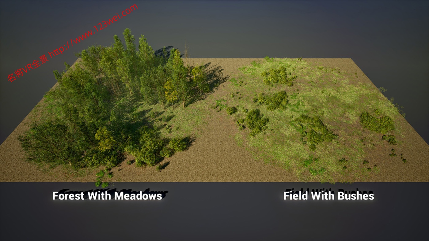 图片[2]-UE5（虚幻引擎5）资源：PCG Biome Forest Poplar PCG 生物群落：森林杨树（互动树叶、树木、风力系统、自然）【推荐】-VR全景