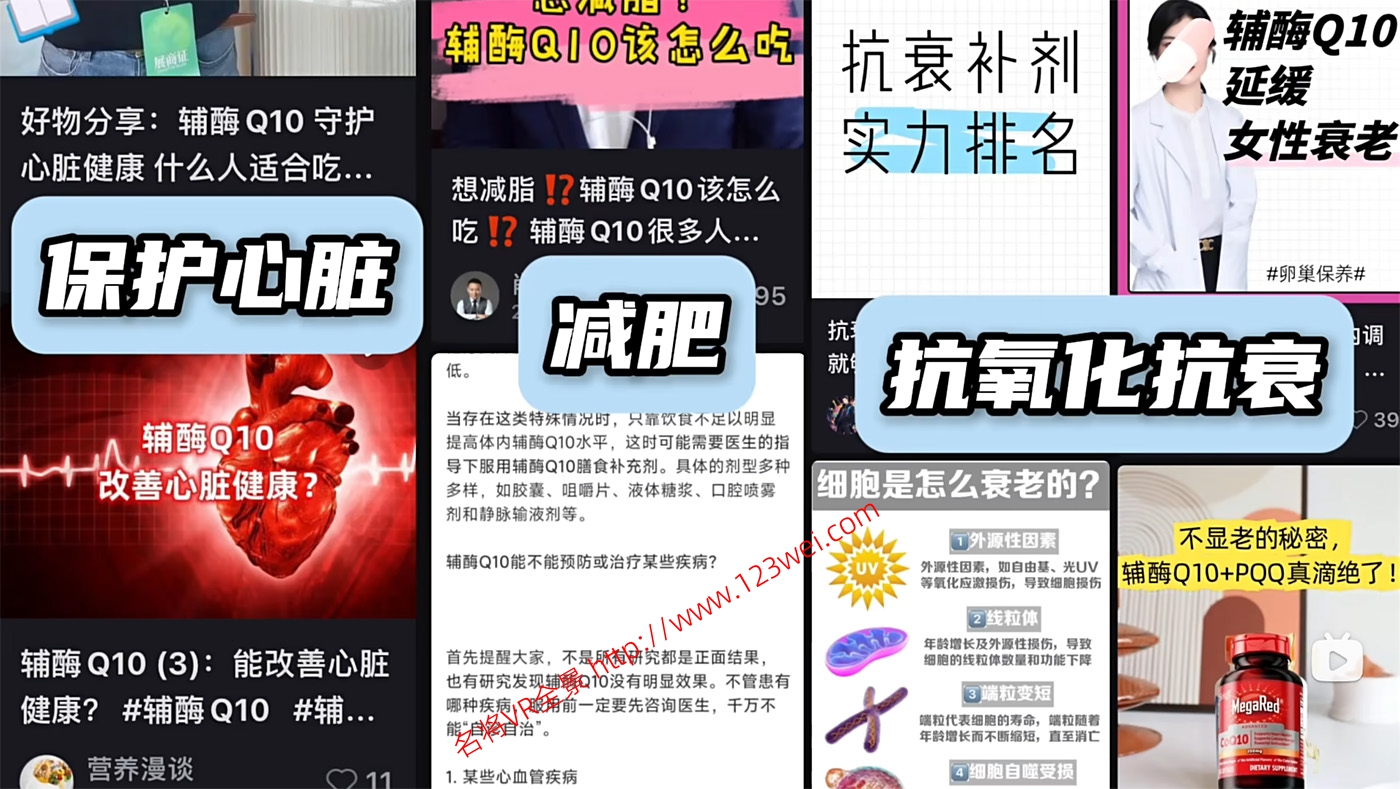 图片[1]-值得推荐：熬夜党、久坐党如何养护心脏？辅酶Q10的机制是什么？-VR全景