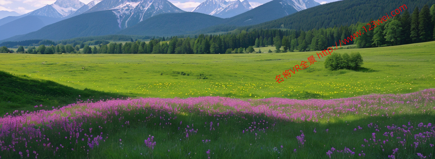 图片[1]-【网络安全】一个故事讲完https（转载）-VR全景