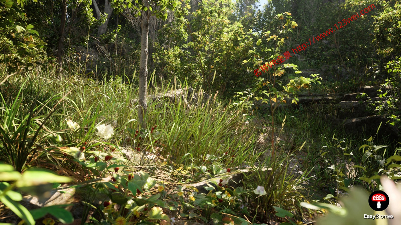 图片[4]-PCGBiome-VR全景