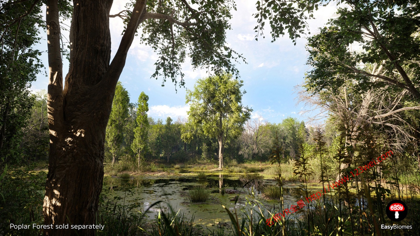 图片[8]-UE5（虚幻引擎5）资源：EasyBiomes 易用生物群落_河流发生器（可生成电影级场景）-VR全景