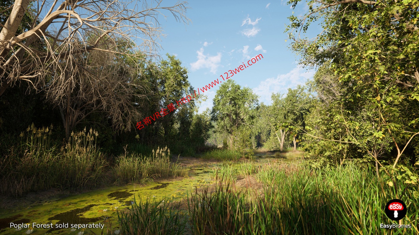 图片[7]-UE5（虚幻引擎5）资源：EasyBiomes 易用生物群落_河流发生器（可生成电影级场景）-VR全景