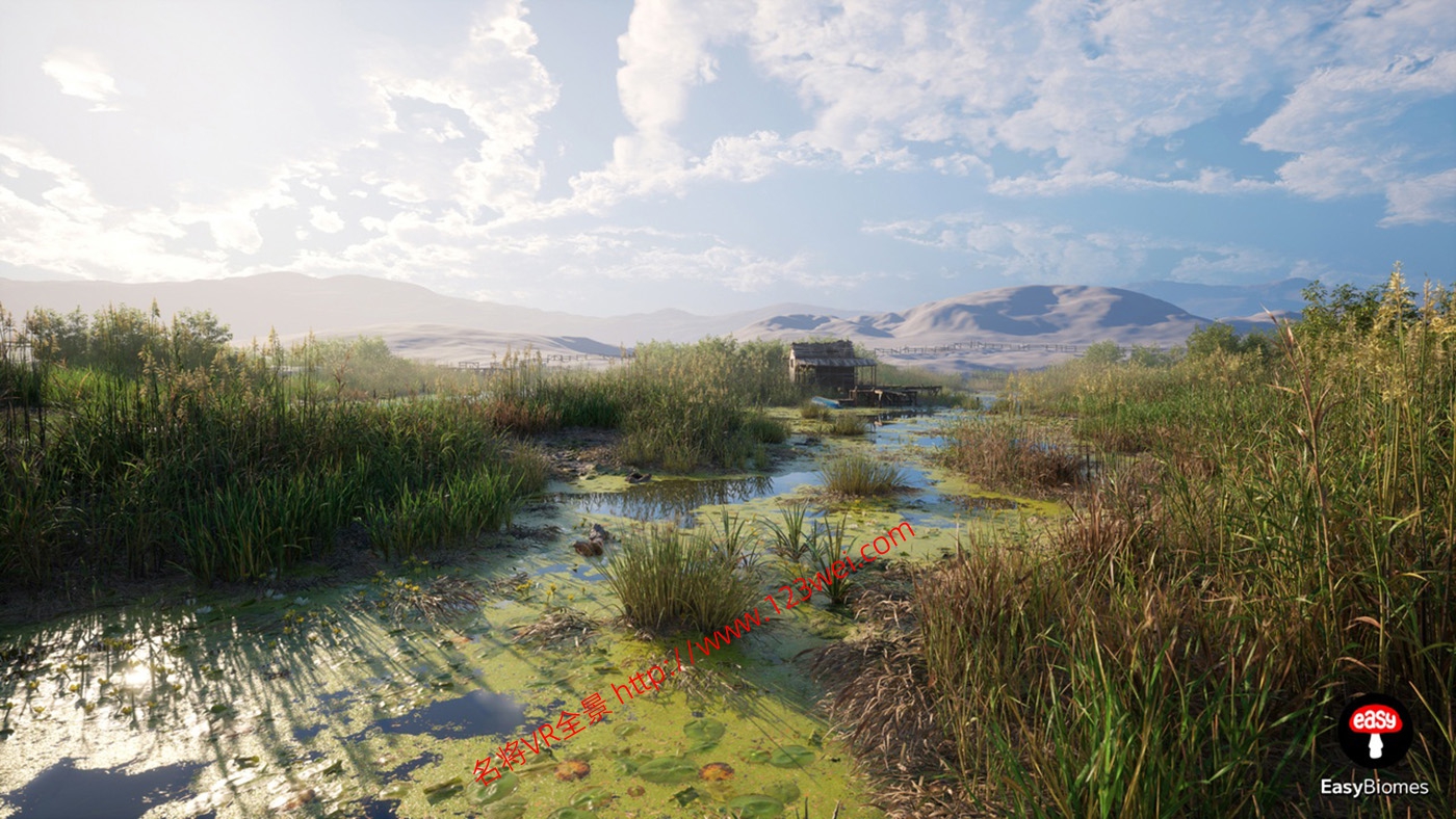 图片[4]-UE5（虚幻引擎5）资源：EasyBiomes 易用生物群落_河流发生器（可生成电影级场景）-VR全景