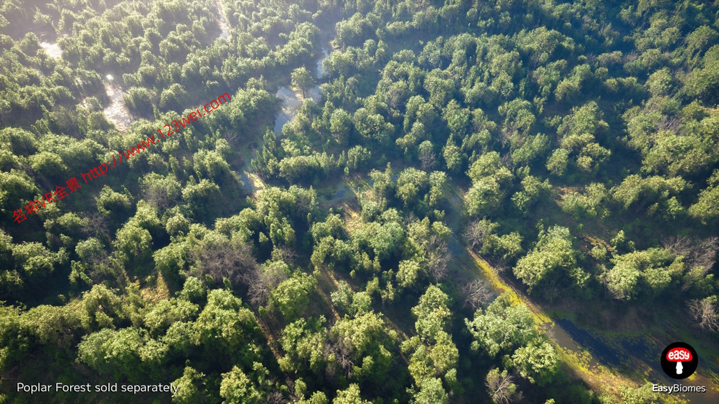 图片[2]-UE5（虚幻引擎5）资源：EasyBiomes 易用生物群落_河流发生器（可生成电影级场景）-VR全景